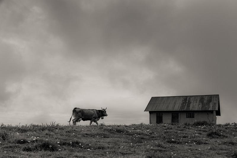 2018_06_06_Haute Savoie  (0045_bnw).jpg - depuis le Semnoz (Juin 2018)
